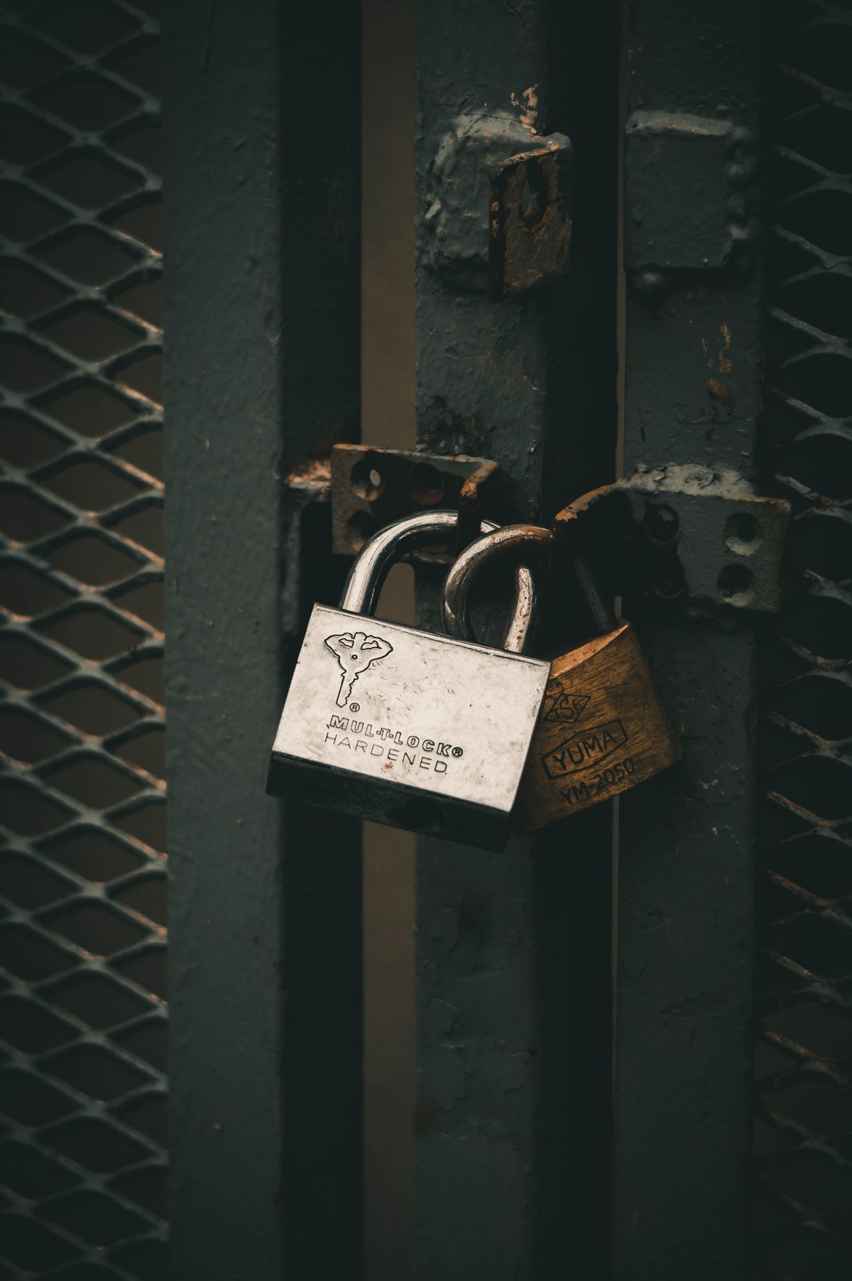 Hardened padlocks securing a steel gate